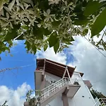Anel Vlorë